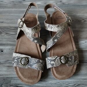 Earth Origins Beck Snake Print Sandals Size 8.5 Wide